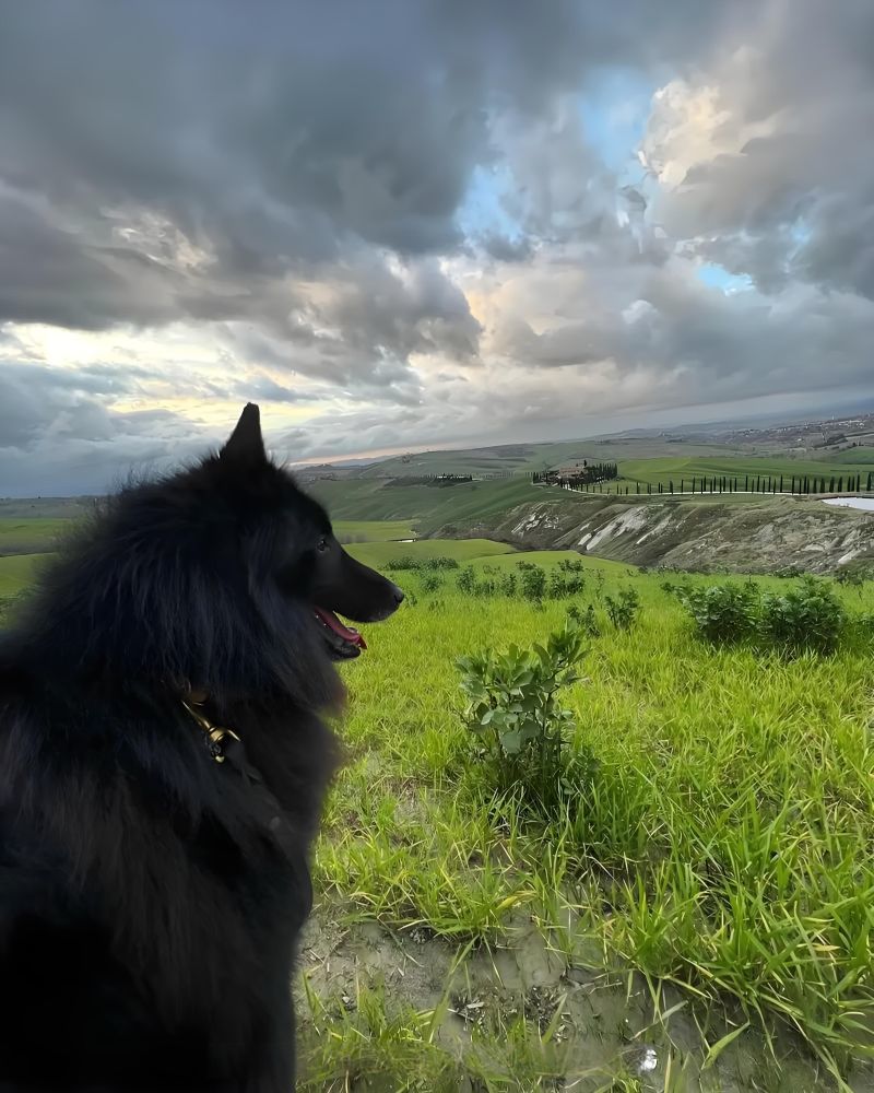 子默学长（八卦王子）的主播照片