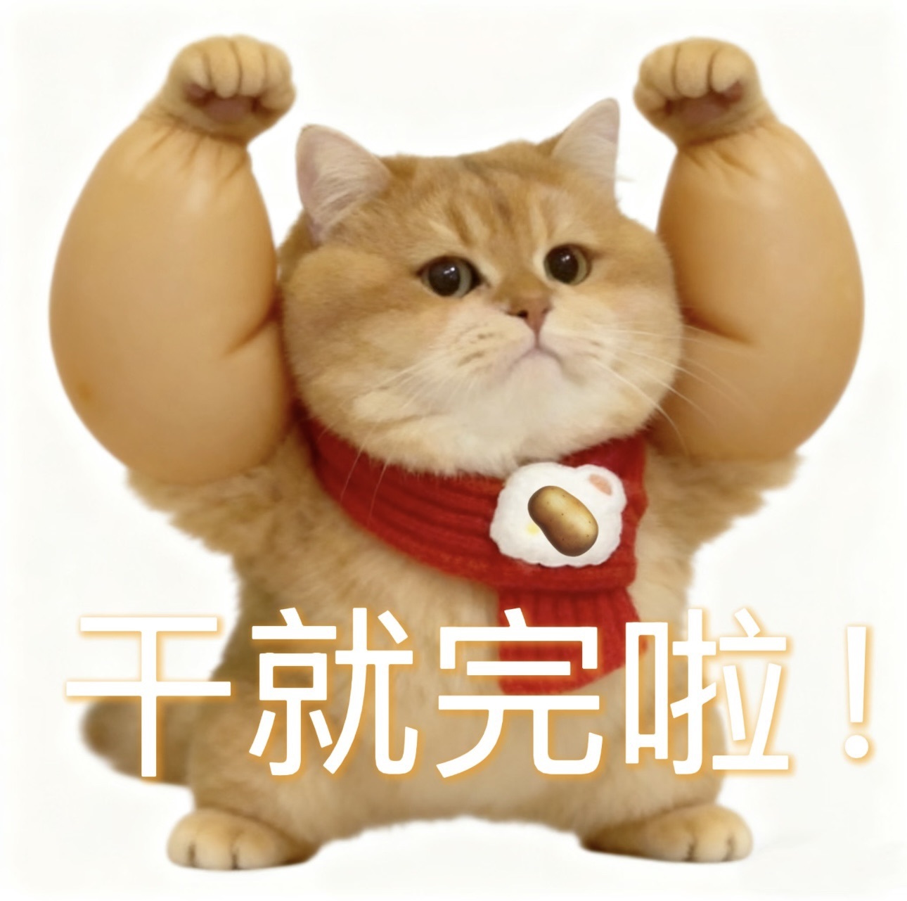 莫妮卡🎤头疼休半天主播图片