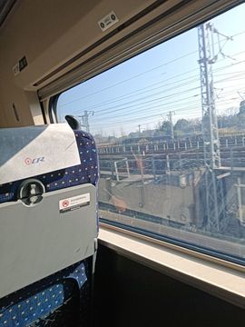 ，余生不在留恋的图片