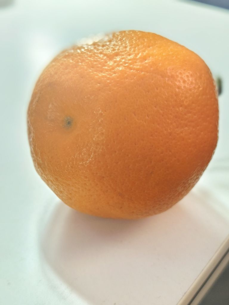 夏夏⭐主播图片