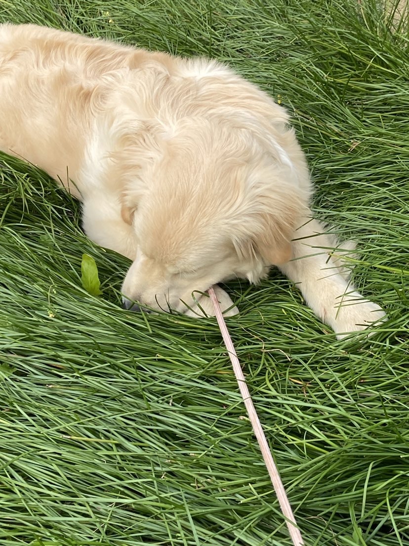 小可柔??主播圖片