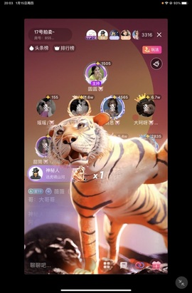 大珂呀🐷的图片