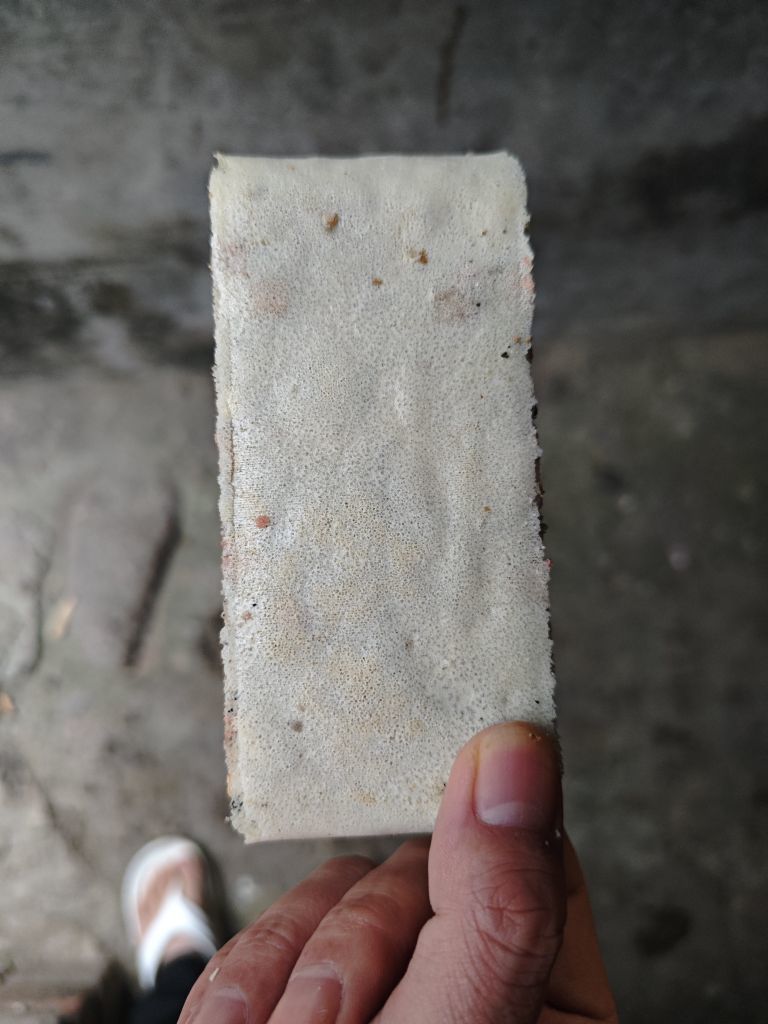 账号注销123的主播照片