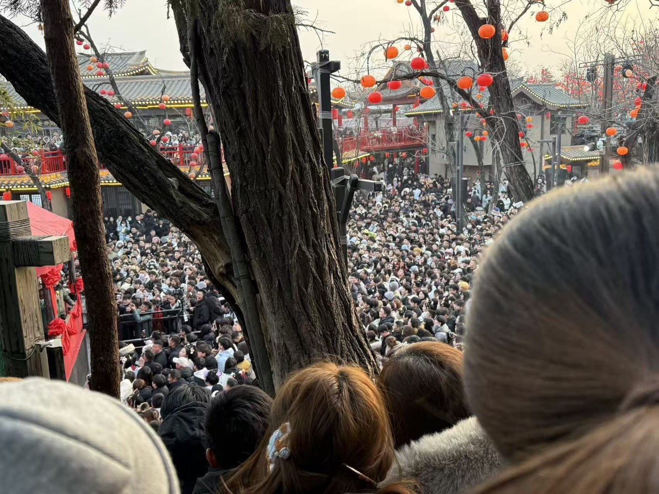 小了个丸子🍡主播图片