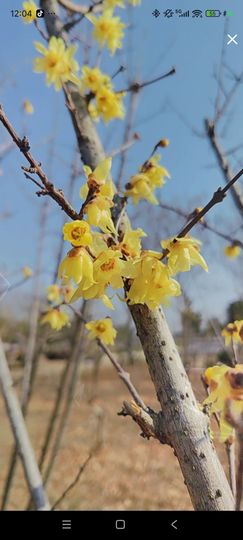 婷❤️26号生日庆典的图片