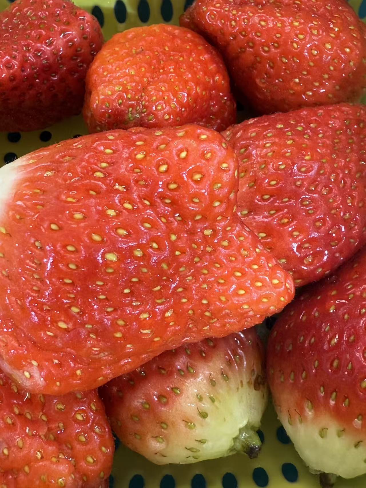 休💗新年快乐主播图片