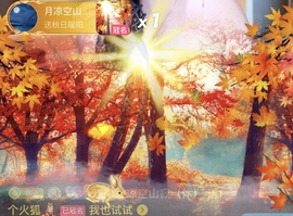 恩惠♪伤感情歌♪的图片