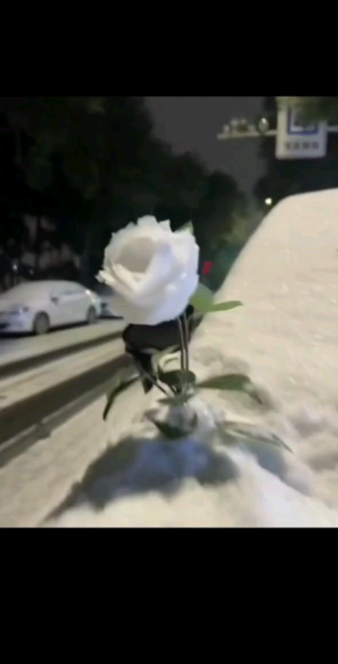 零下十几度而已  一