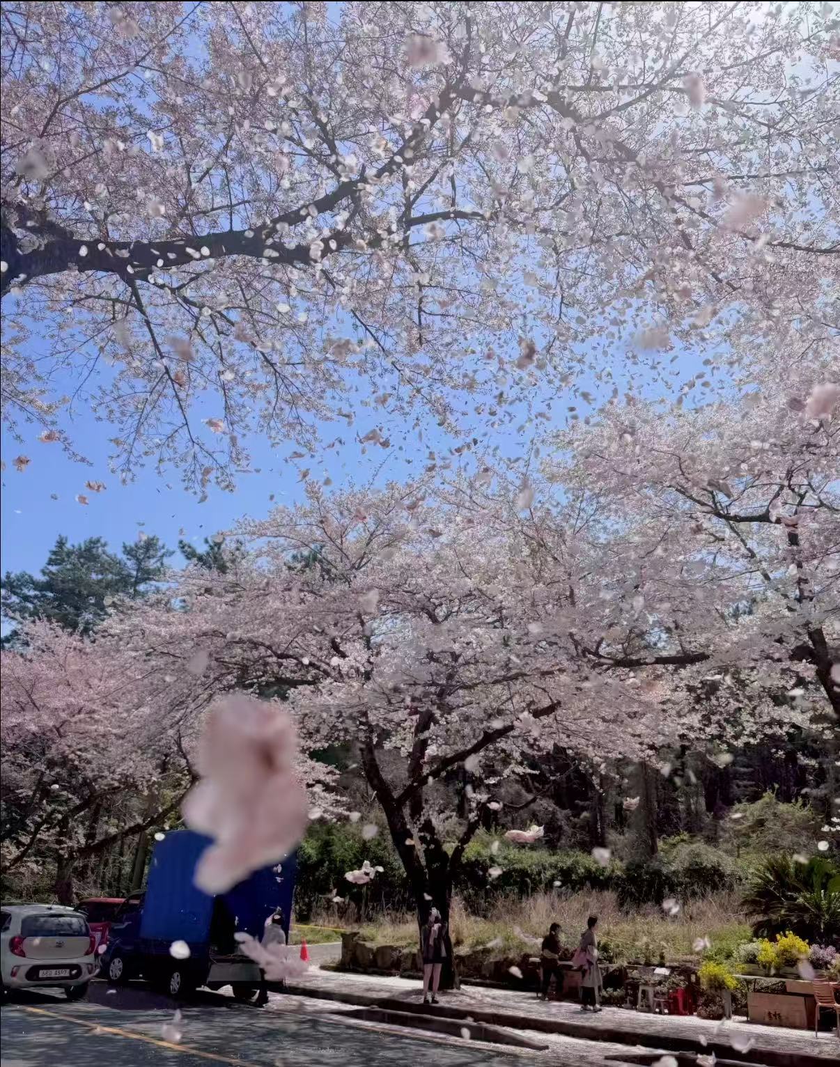 休💗新年快乐主播图片