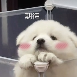 洁儿宝宝💗的图片