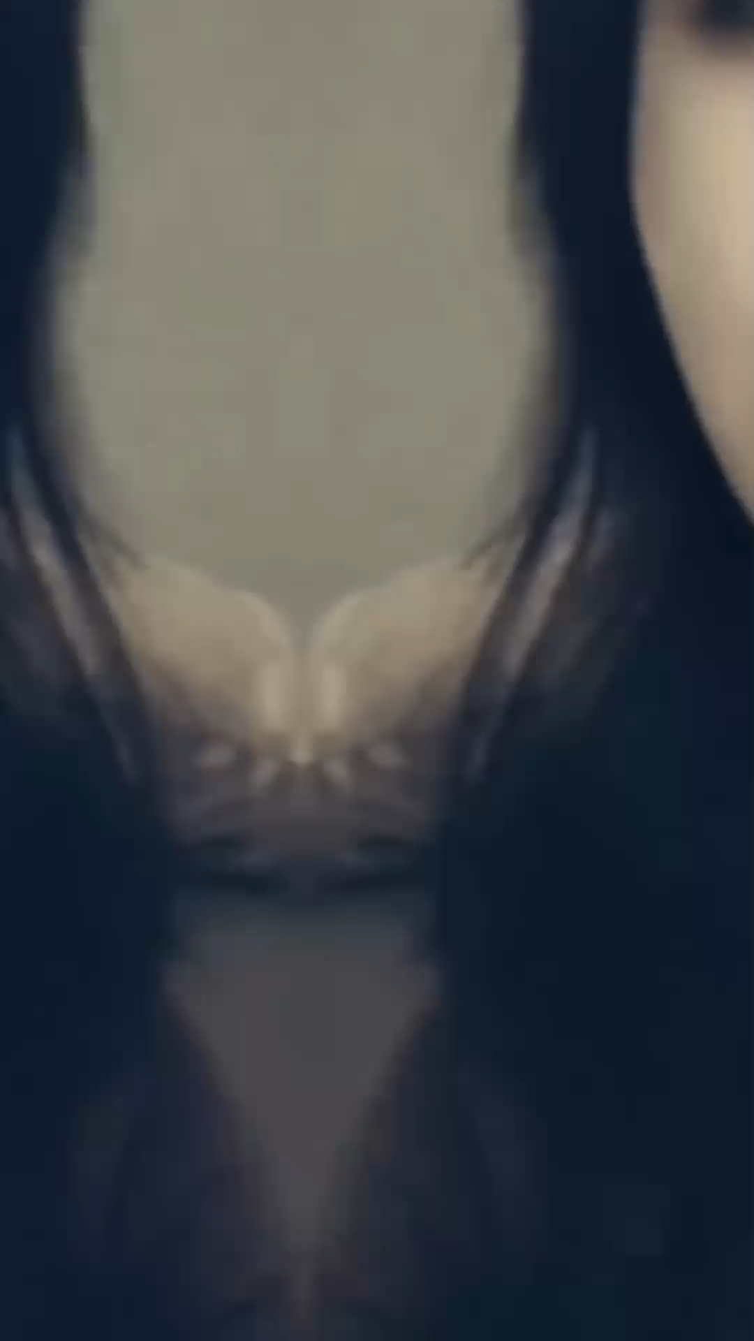 总有人带着真诚来认识