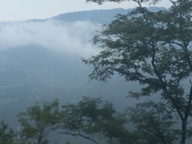 🍀冰雪❤️🍀加油的图片