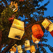 ╰❥夜の星光☂