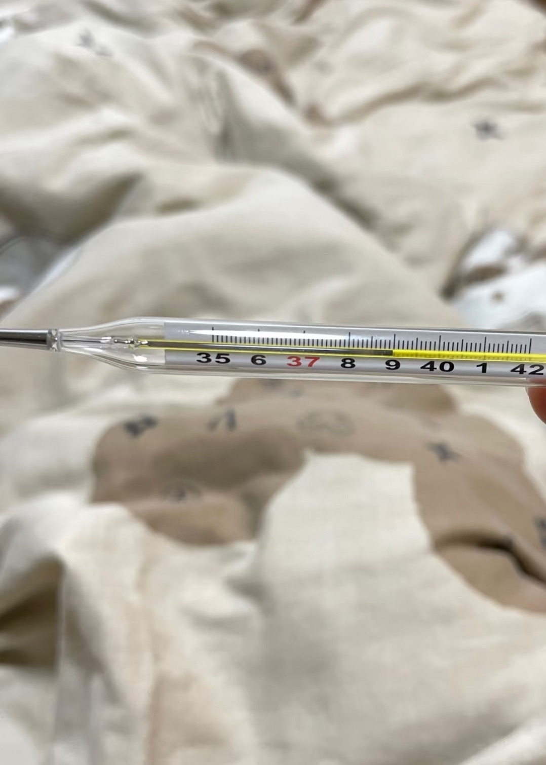 新人～小羊的主播照片