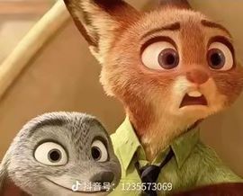 刘伯轩轩的图片