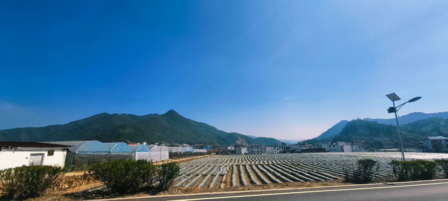 妞妞骑行西双版纳主播图片