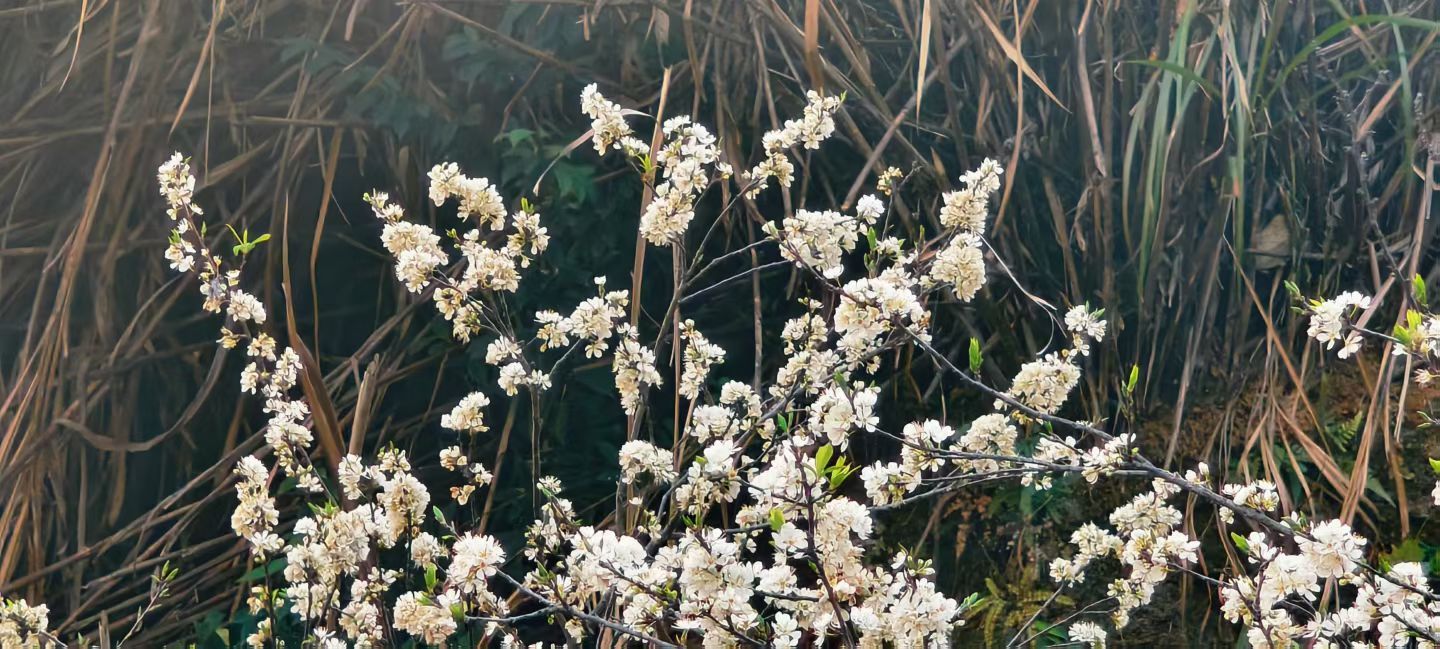 妞妞骑行西双版纳主播图片