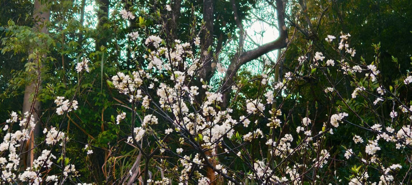 妞妞骑行西双版纳主播图片