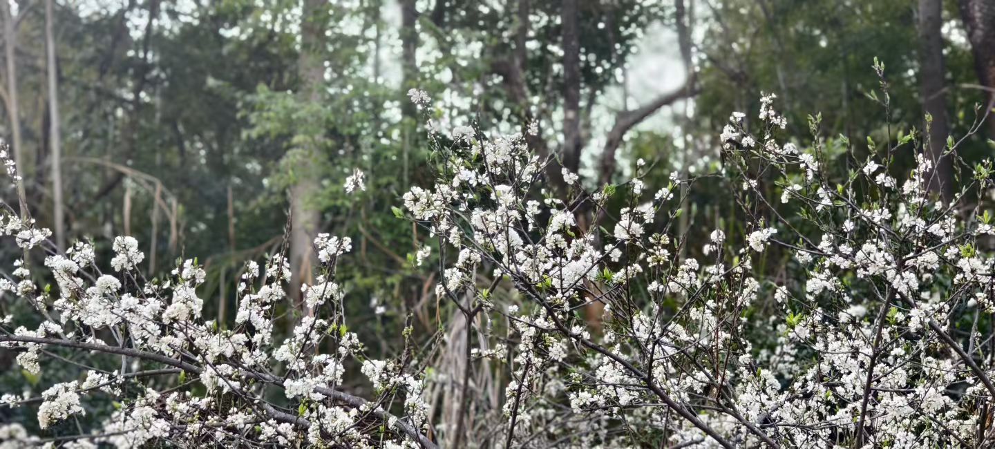 妞妞骑行西双版纳主播图片