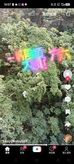 @一江東去@照片的图片