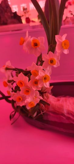 妞妞骑行福清市的图片