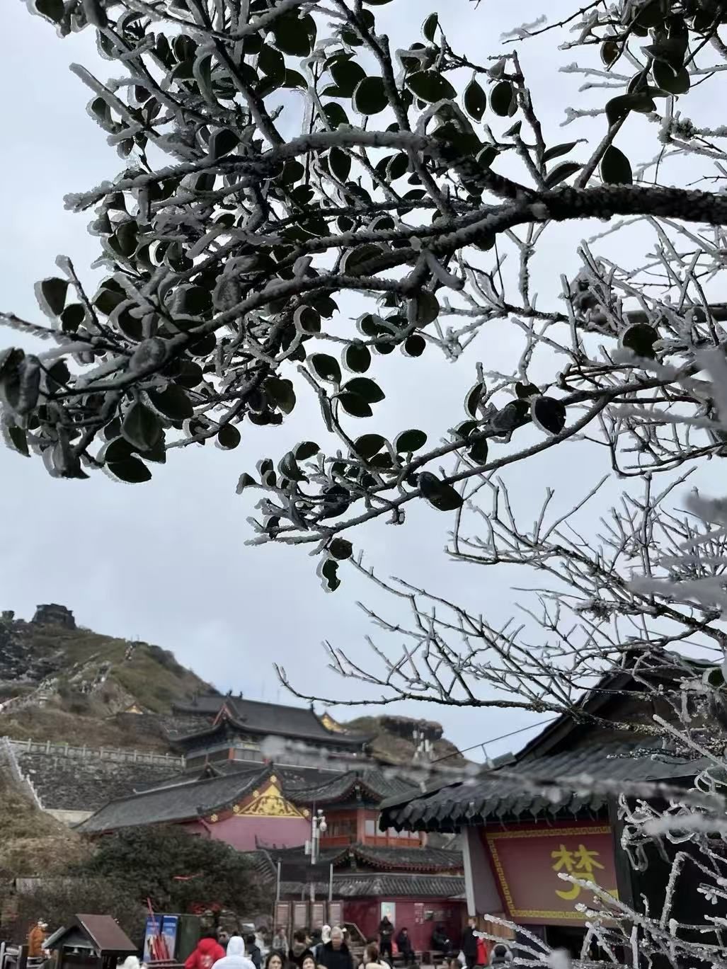 傻白喵不甜😂的主播照片