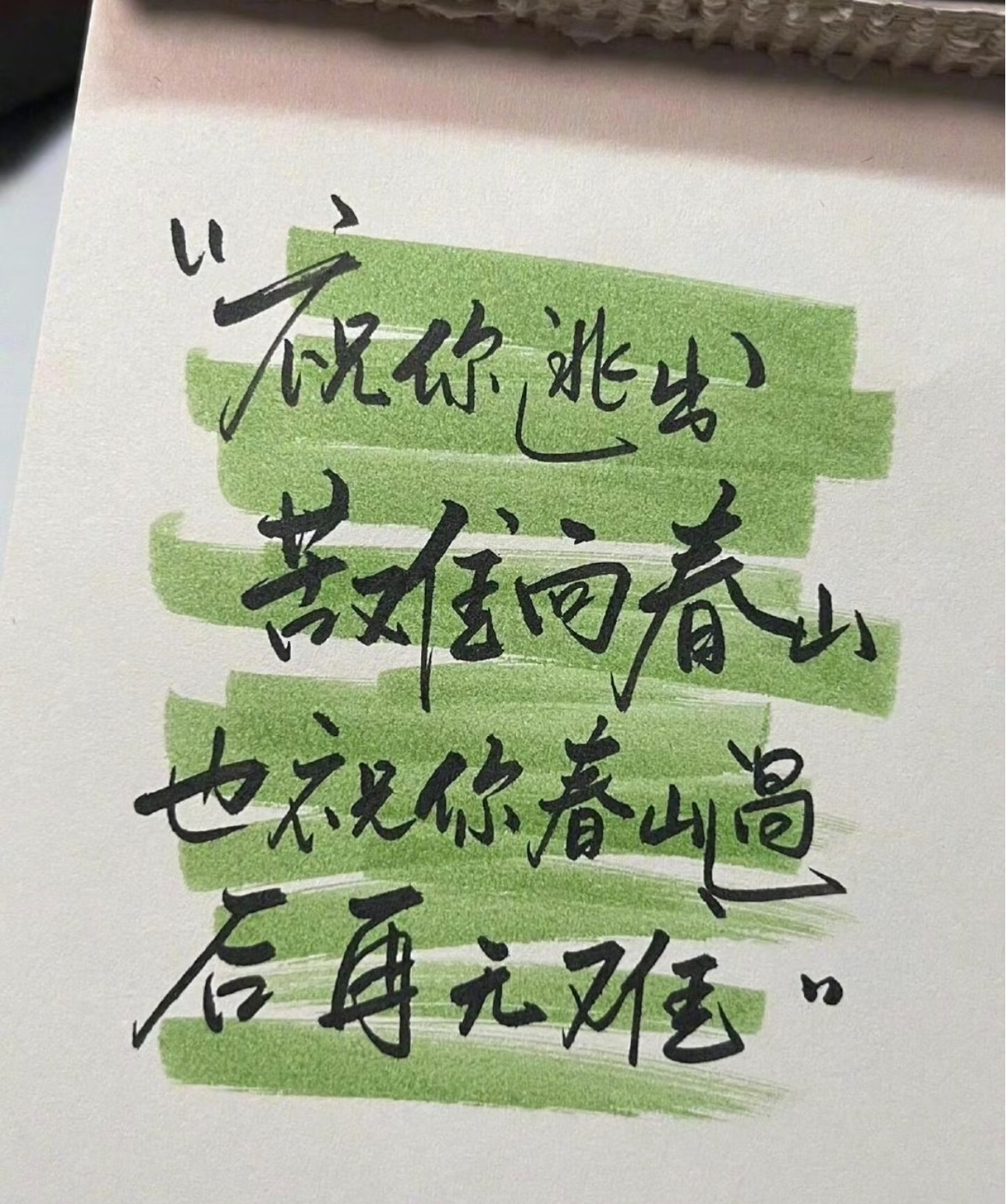 娜扎🧸的主播照片