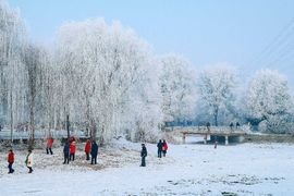 天王盖地虎虎044的图片