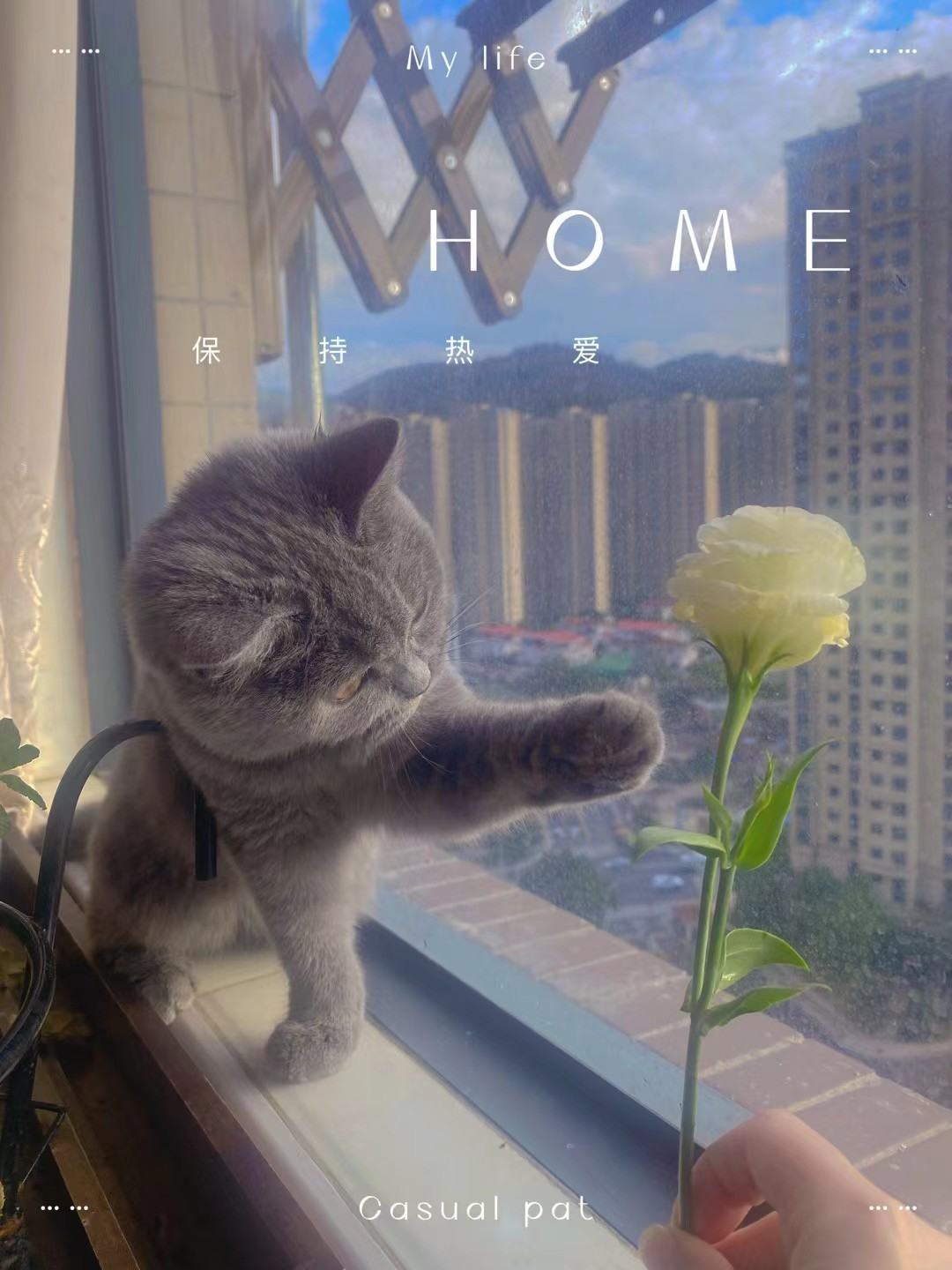 方仪❤八方来财主播图片