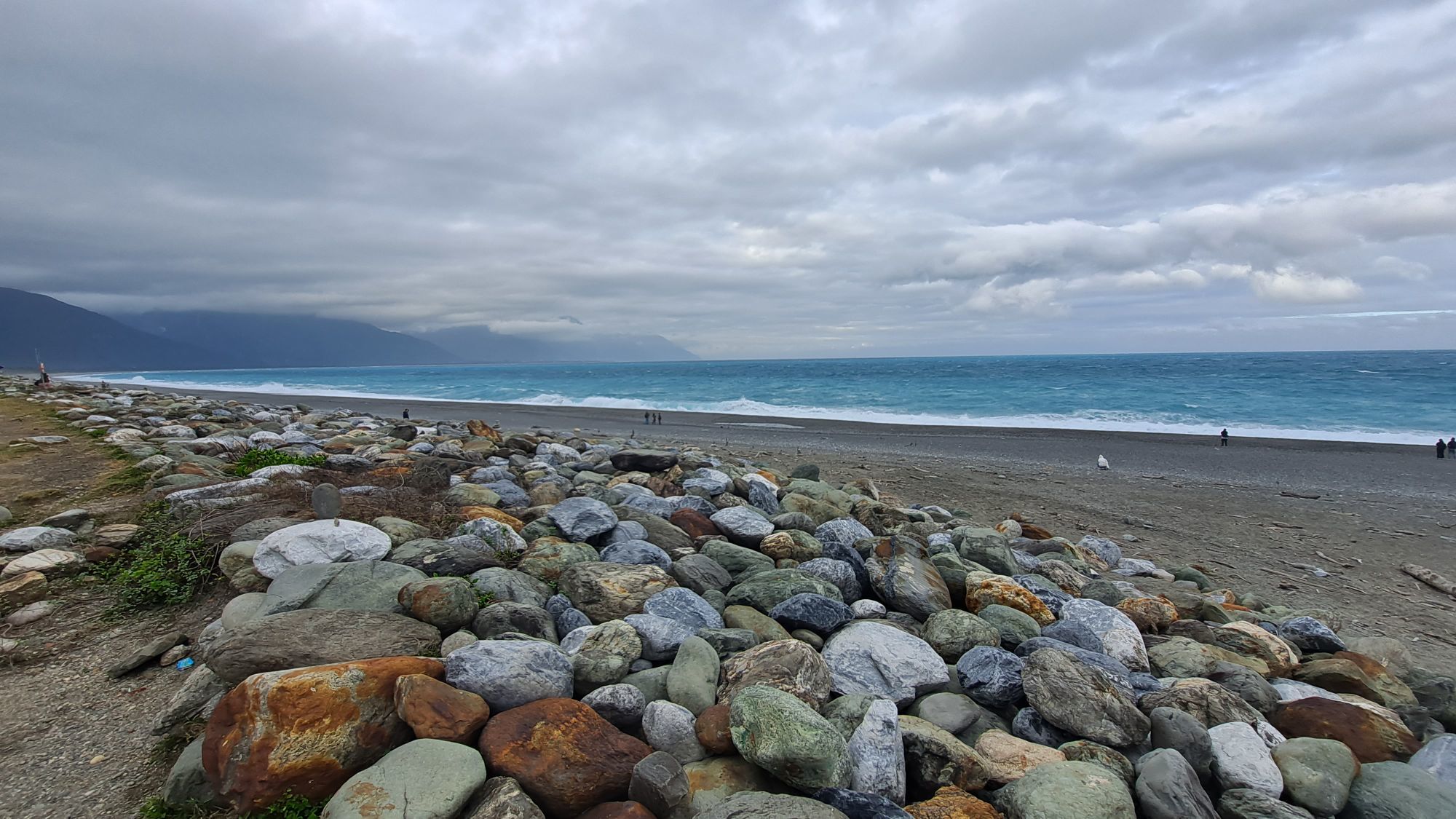 一只楚楚熊☆主播图片