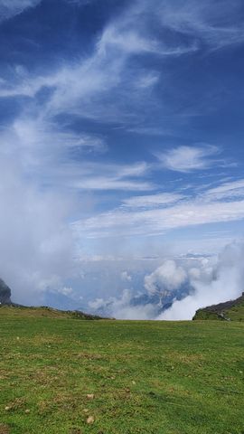 茜宝🎤马上有大哥的图片