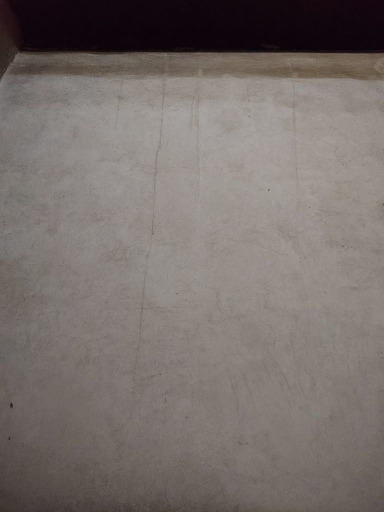 N。枯。F䶣儁）主播图片