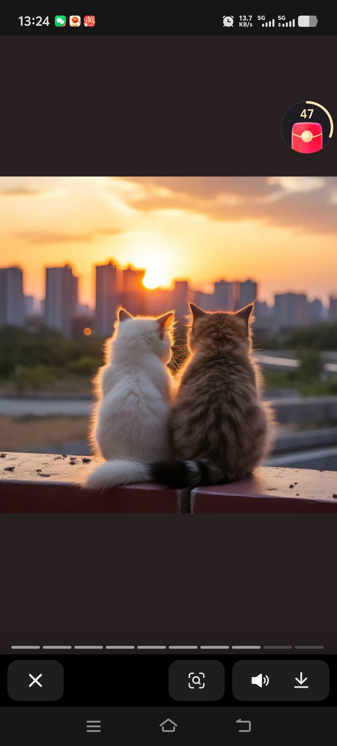 九九🍀而已主播图片