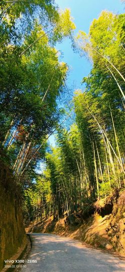 妞妞骑行莆田观游神的图片