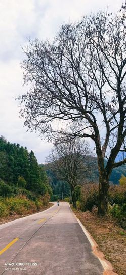 妞妞骑行莆田观游神的图片