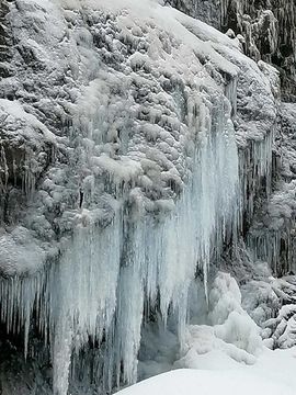 天王盖地虎虎044的图片