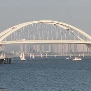 玩个寂寞。的头像