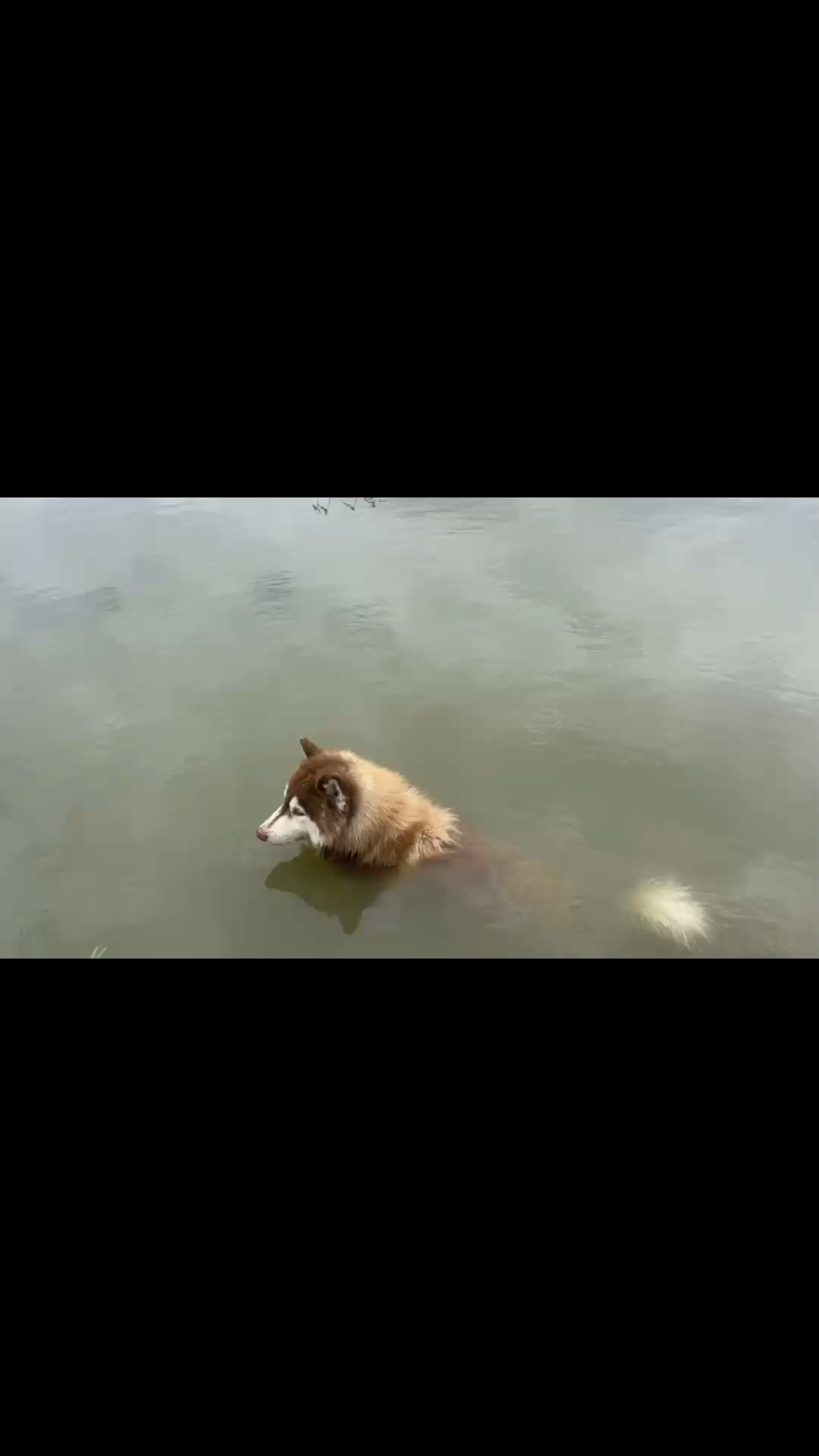 喜欢跟我去钓鱼，喜欢