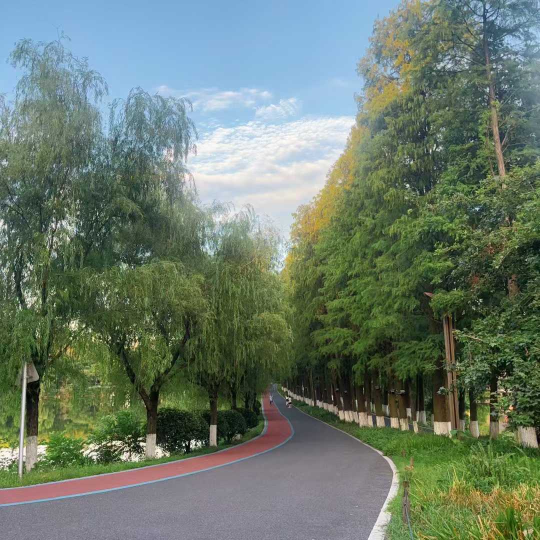 宝儿祝家人们新年快乐的主播照片