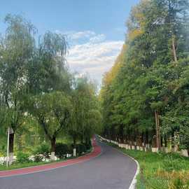 宝儿祝家人们新年快乐的图片