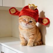 嘟嘟丶大魔王🎁的头像