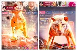 冉冉🍀好运来！的图片