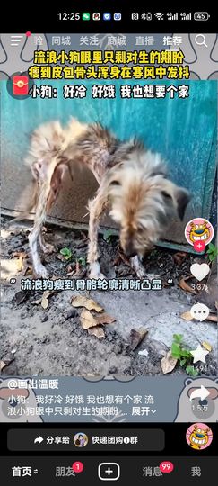 无尽诱惑的图片