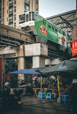 我是自由啊的图片