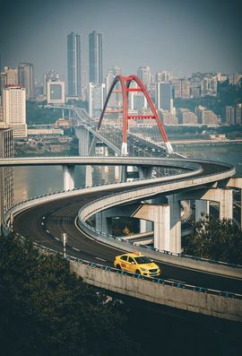 我是自由啊的图片