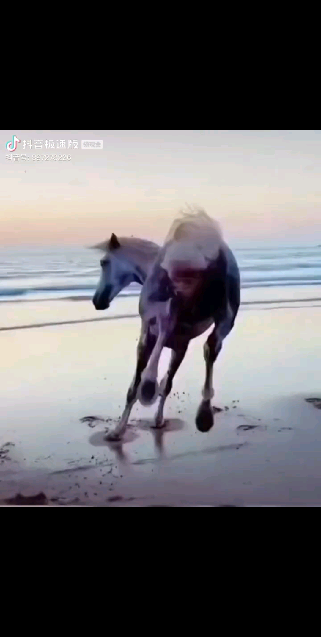 动态分享小视频