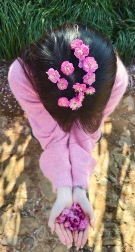 晴宝🌈祝你好运的图片