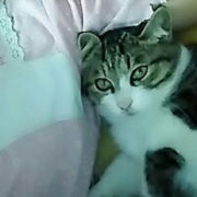 欢欣......的头像