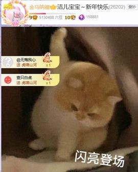 洁儿宝宝💗的图片