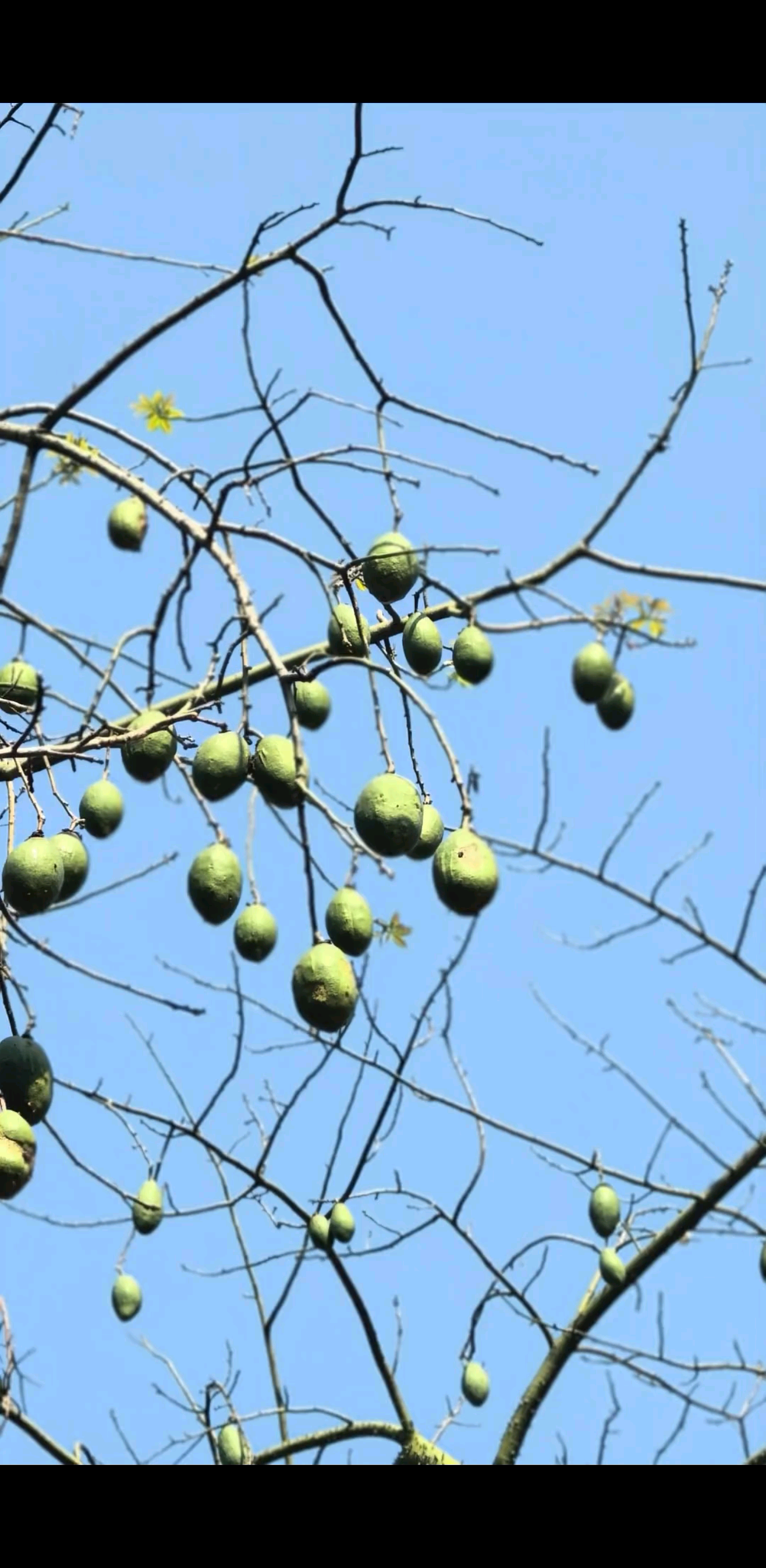 生活--处处是风景…